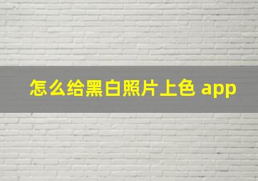 怎么给黑白照片上色 app